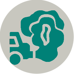 Car with smoke coming out the back.